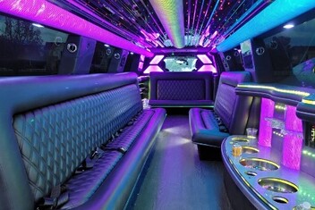 Missouri City Limo Interior